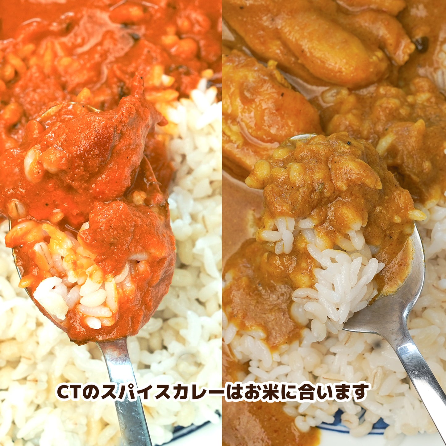 4種類セット 送料無料