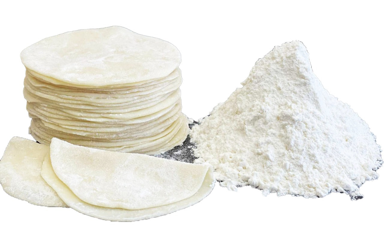 スパイス餃子40個いり送料無料