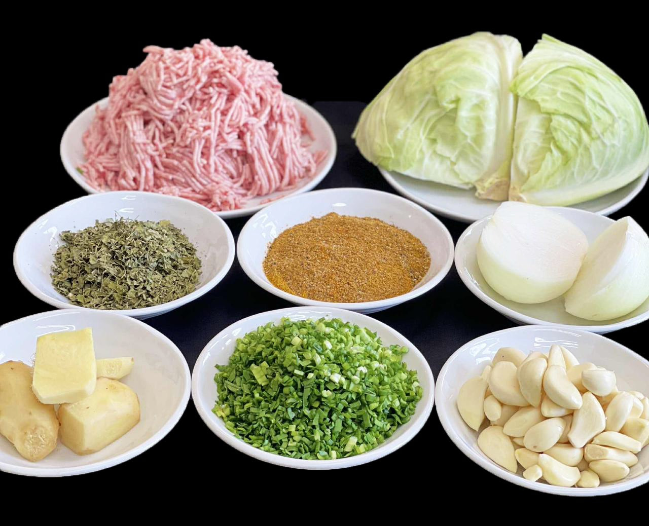 スパイス餃子40個いり送料無料